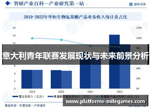 意大利青年联赛发展现状与未来前景分析