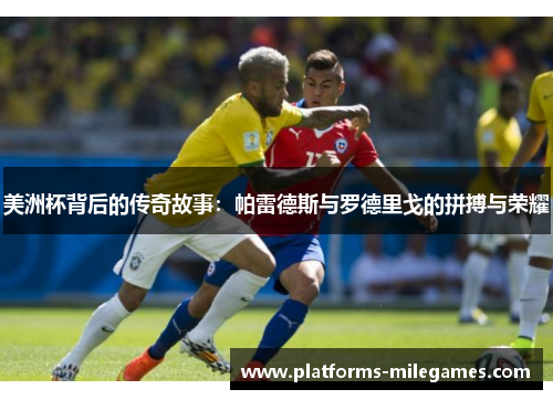 美洲杯背后的传奇故事：帕雷德斯与罗德里戈的拼搏与荣耀