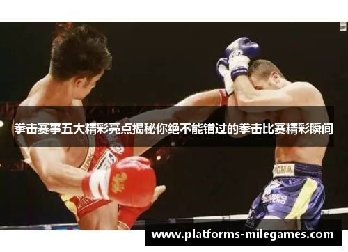 拳击赛事五大精彩亮点揭秘你绝不能错过的拳击比赛精彩瞬间