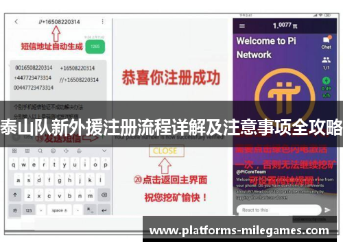 泰山队新外援注册流程详解及注意事项全攻略