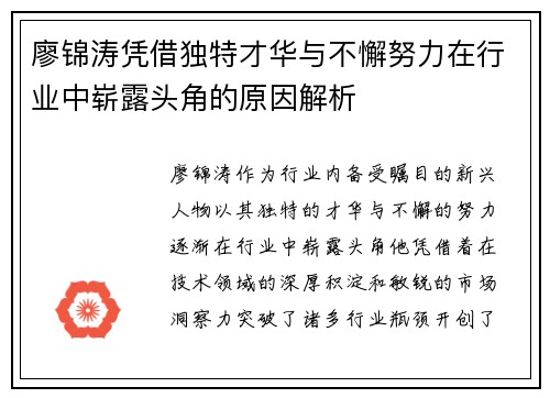 廖锦涛凭借独特才华与不懈努力在行业中崭露头角的原因解析