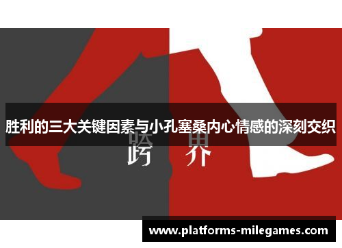 胜利的三大关键因素与小孔塞桑内心情感的深刻交织