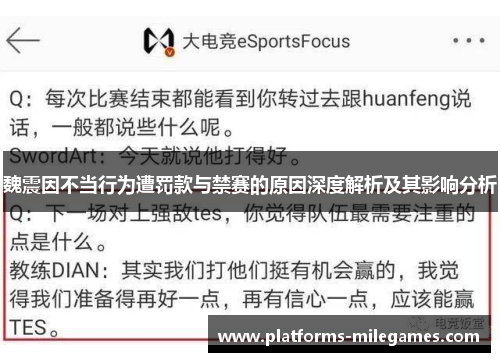魏震因不当行为遭罚款与禁赛的原因深度解析及其影响分析