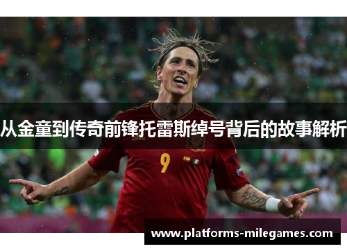 从金童到传奇前锋托雷斯绰号背后的故事解析 从金童到传奇前锋托雷斯绰号背后的故事解析