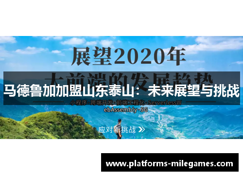 马德鲁加加盟山东泰山：未来展望与挑战