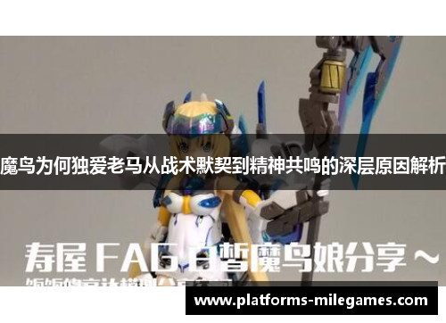 魔鸟为何独爱老马从战术默契到精神共鸣的深层原因解析 魔鸟为何独爱老马从战术默契到精神共鸣的深层原因解析