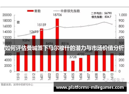 如何评估曼城签下马尔穆什的潜力与市场价值分析